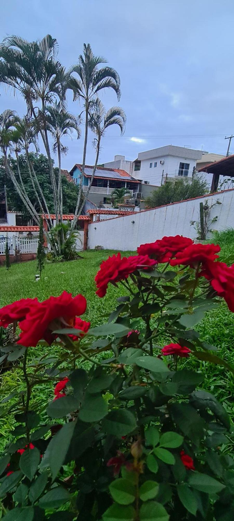 מלון קאבו פריו Red Rose מראה חיצוני תמונה